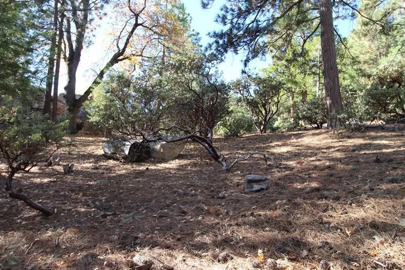 Gibbs-Gully Idyllwild, CA 92549
