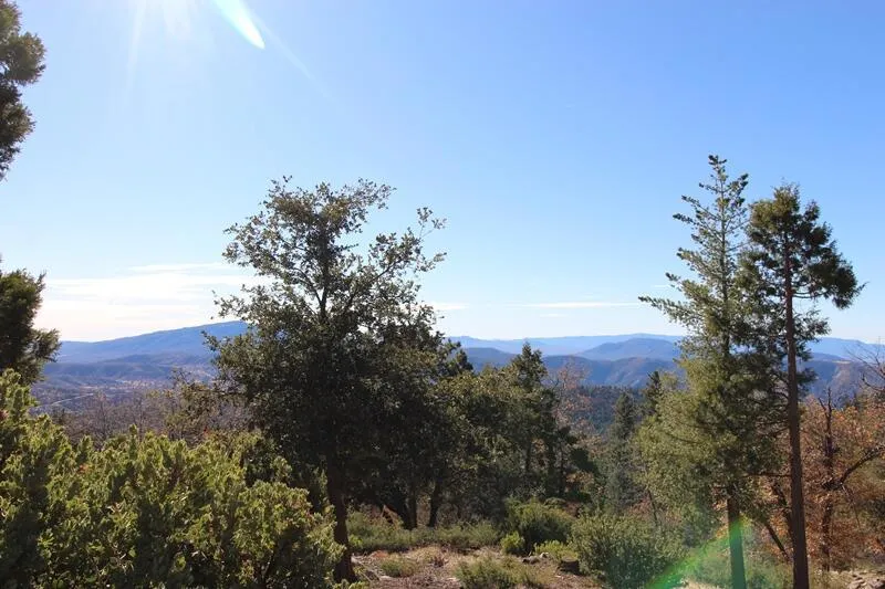 Gibbs-Gully Idyllwild, CA 92549