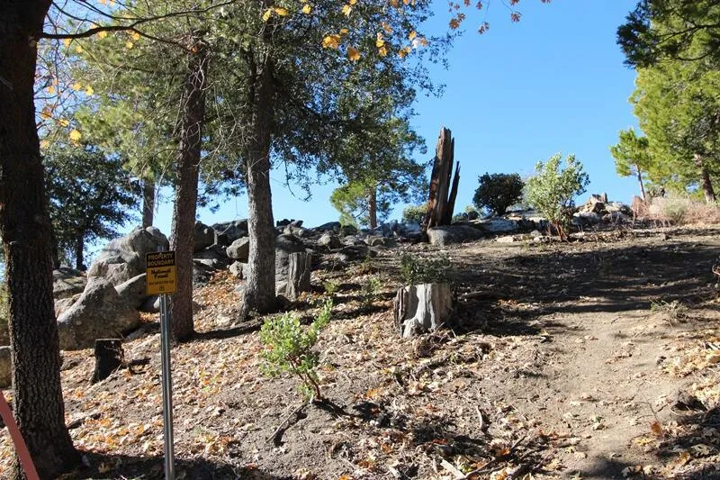 Gibbs-Gully Idyllwild, CA 92549