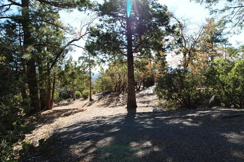 Gibbs-Gully Idyllwild, CA 92549