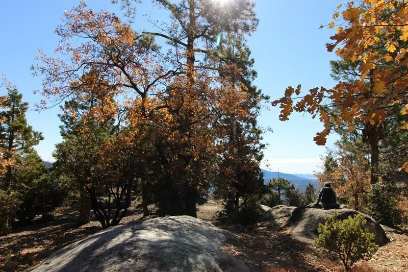 Gibbs-Gully Idyllwild, CA 92549