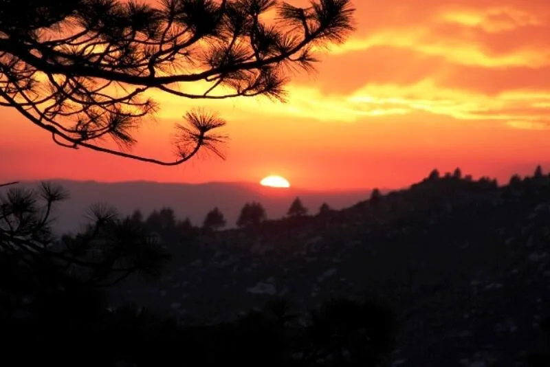 Gibbs-Gully Idyllwild, CA 92549