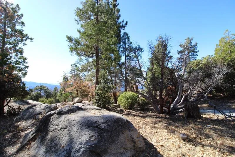 Gibbs-Gully Idyllwild, CA 92549