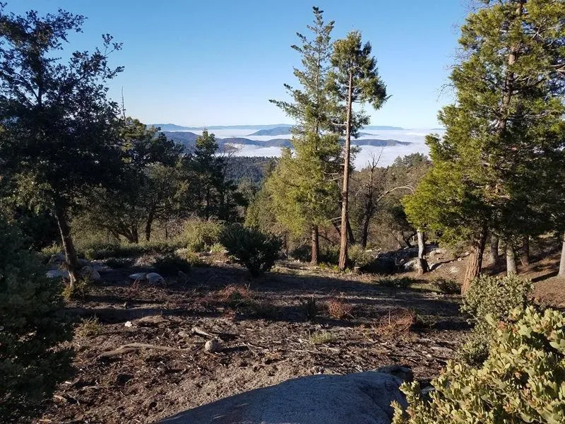 Gibbs-Gully Idyllwild, CA 92549