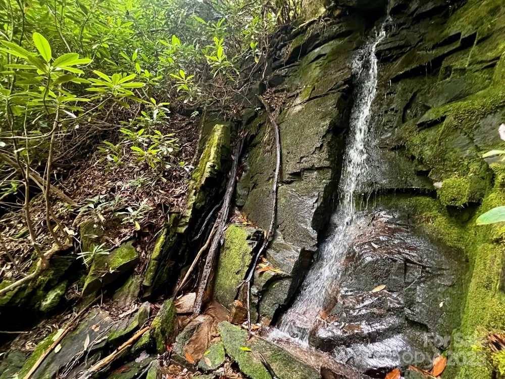 Lot 11 Silver Maple Trail Brevard, NC 28712