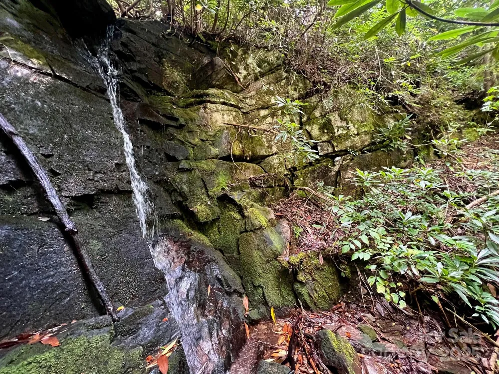Lot 11 Silver Maple Trail Brevard, NC 28712
