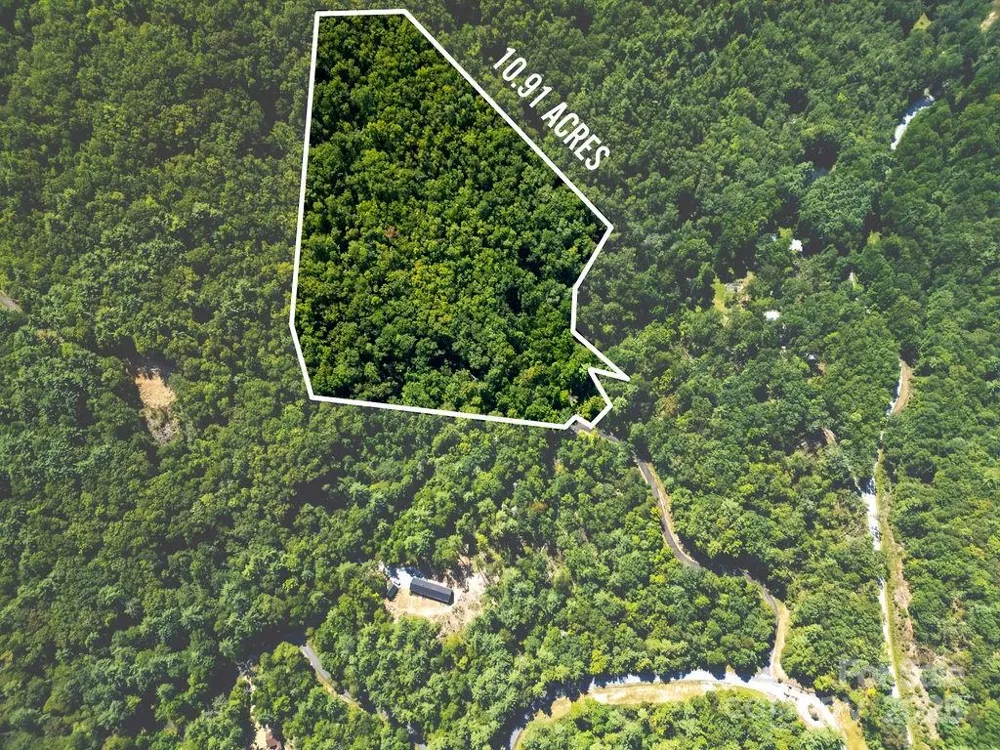 Lot 11 Silver Maple Trail Brevard, NC 28712