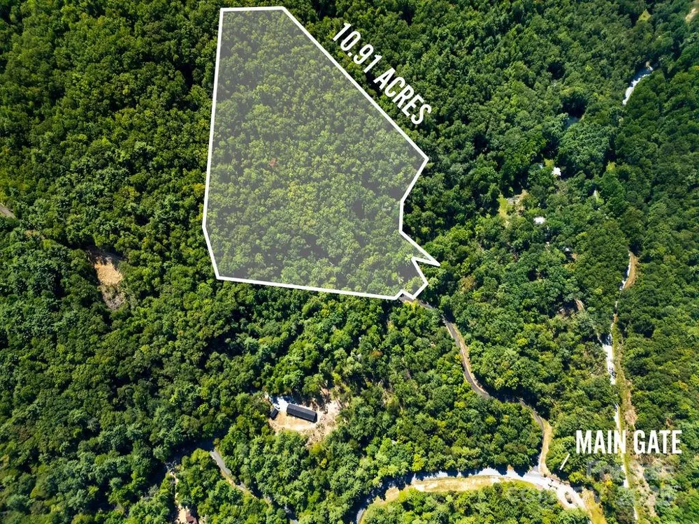 Lot 11 Silver Maple Trail Brevard, NC 28712