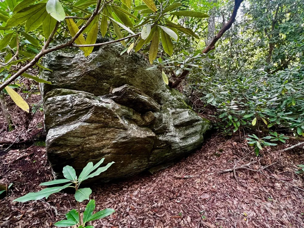Lot 11 Silver Maple Trail Brevard, NC 28712
