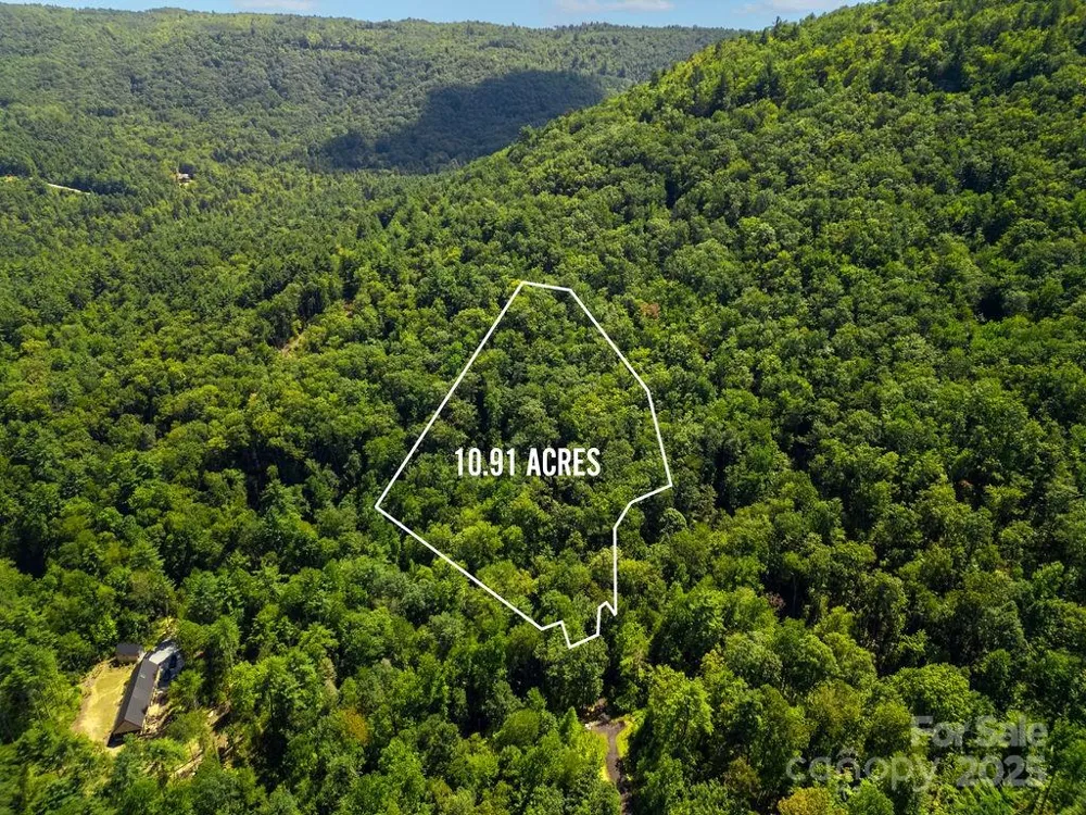 Lot 11 Silver Maple Trail Brevard, NC 28712
