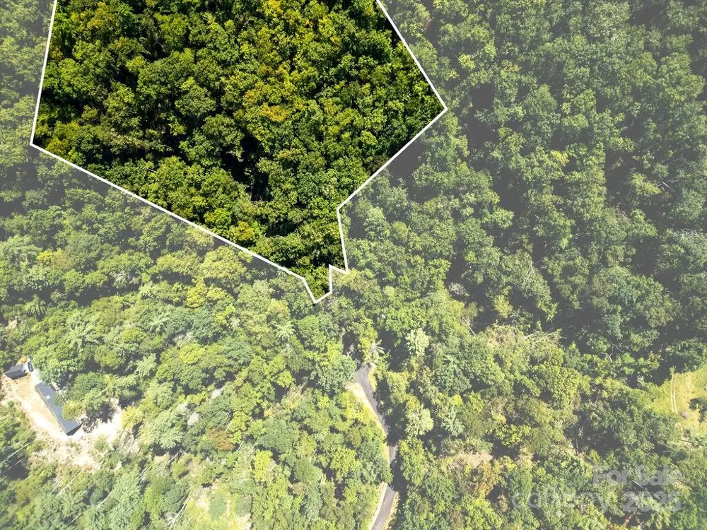 Lot 11 Silver Maple Trail Brevard, NC 28712