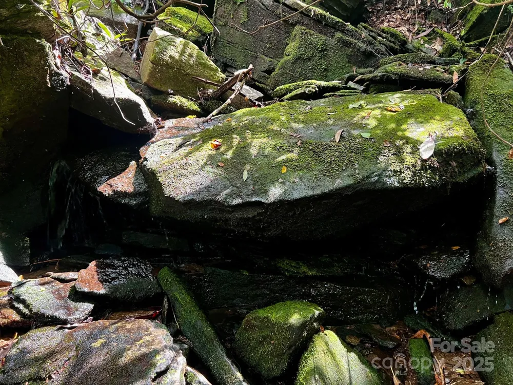 Lot 11 Silver Maple Trail Brevard, NC 28712