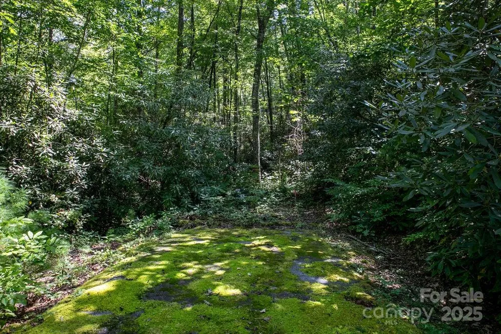 Lot 11 Silver Maple Trail Brevard, NC 28712