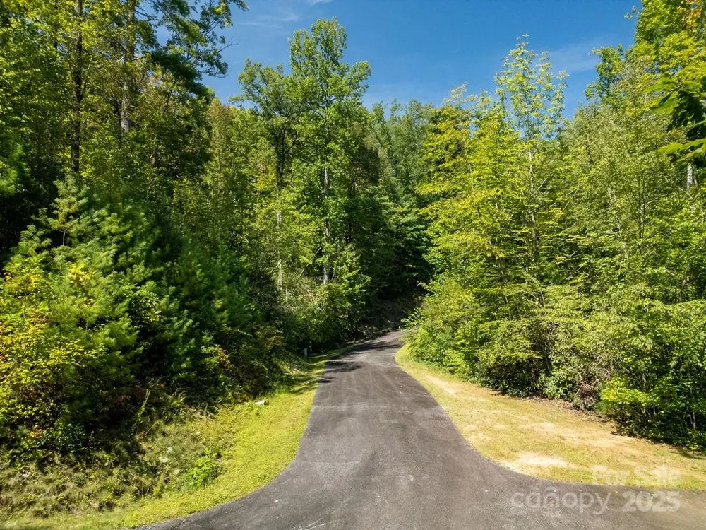 Lot 11 Silver Maple Trail Brevard, NC 28712