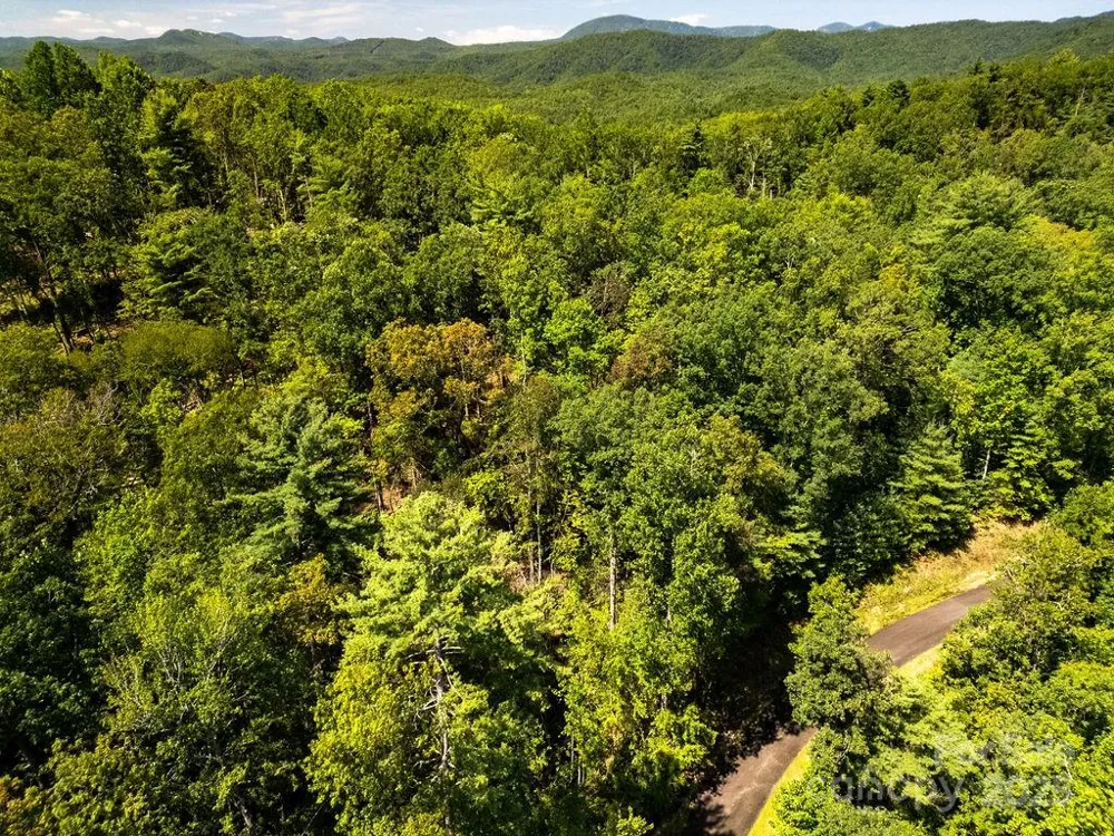 Lot 11 Silver Maple Trail Brevard, NC 28712