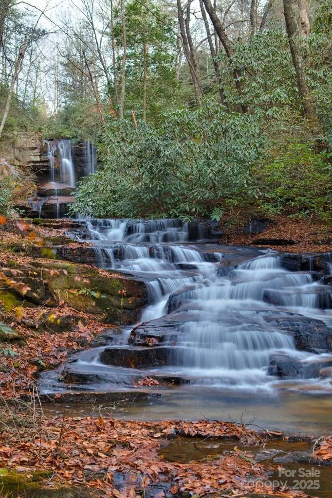 Lot 11 Silver Maple Trail Brevard, NC 28712