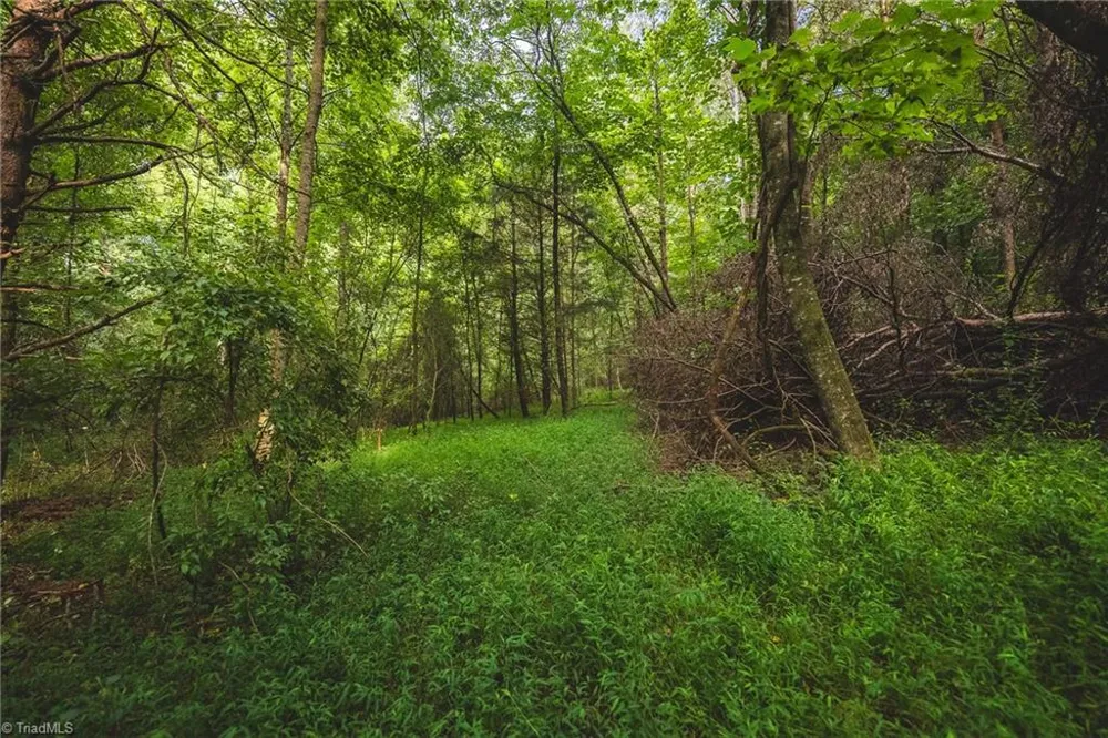 TBD Johnson Ridge Road Elkin, NC 28621