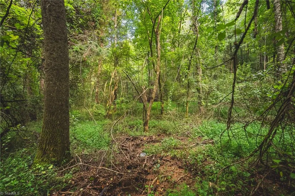 TBD Johnson Ridge Road Elkin, NC 28621