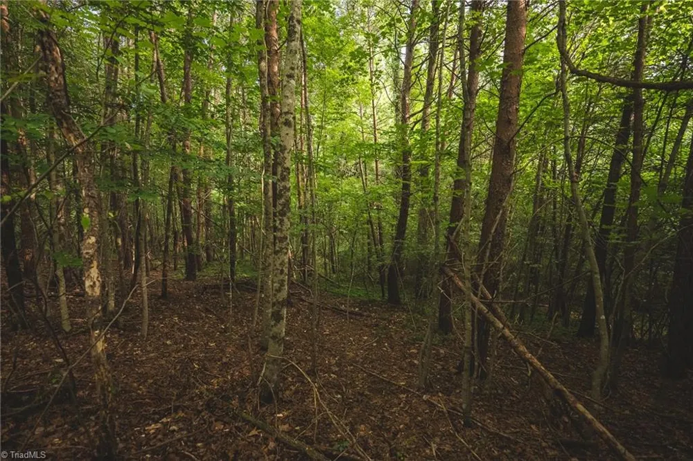 TBD Johnson Ridge Road Elkin, NC 28621