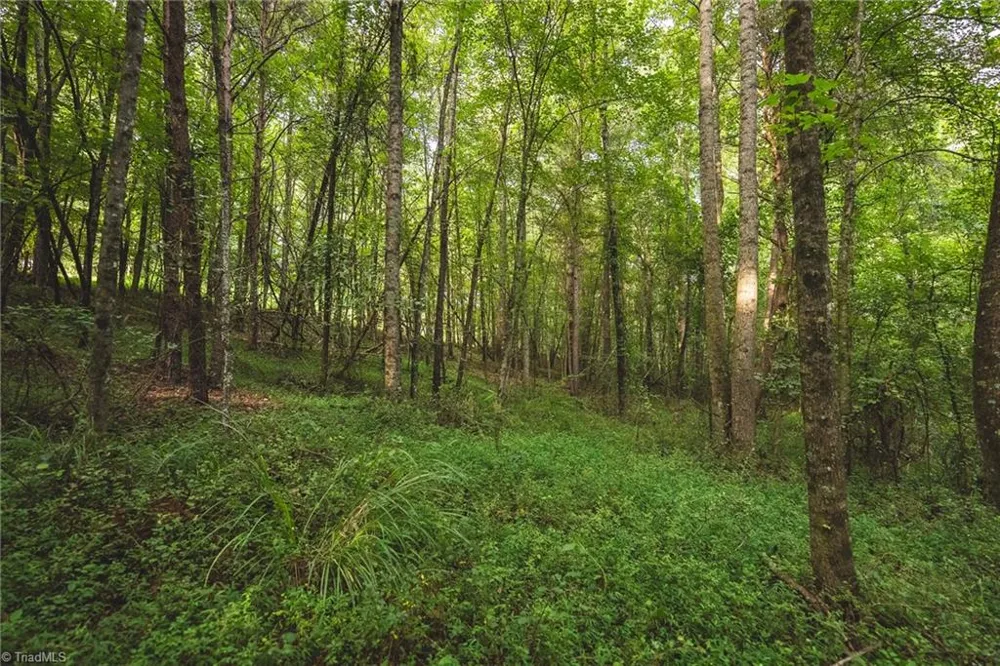 TBD Johnson Ridge Road Elkin, NC 28621