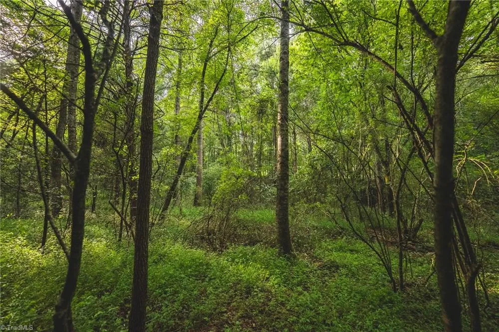 TBD Johnson Ridge Road Elkin, NC 28621