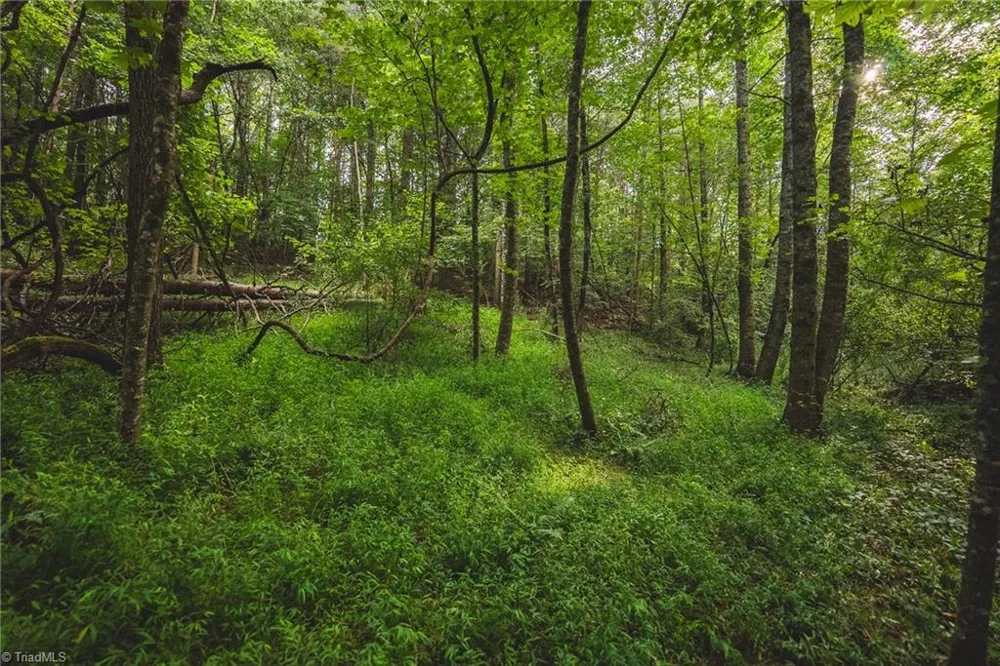 TBD Johnson Ridge Road Elkin, NC 28621