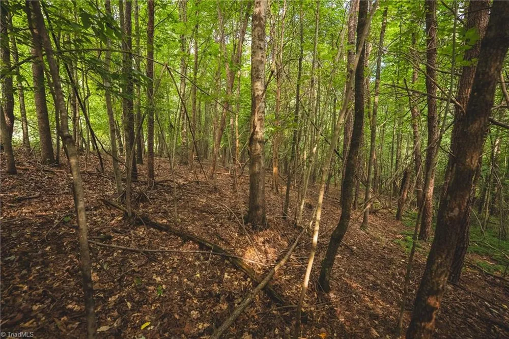TBD Johnson Ridge Road Elkin, NC 28621