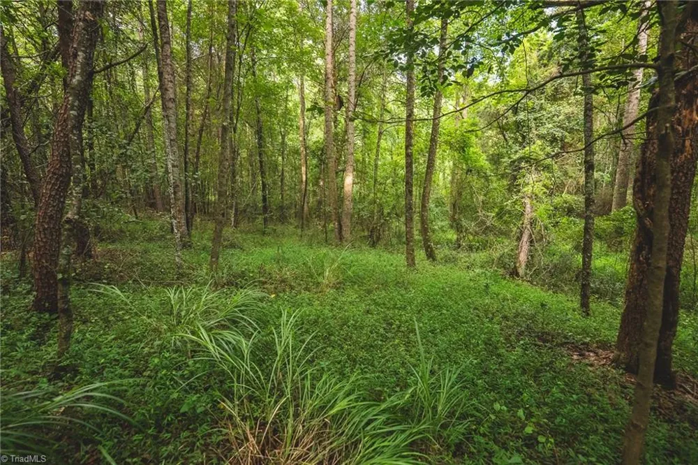 TBD Johnson Ridge Road Elkin, NC 28621