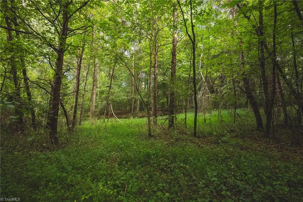 TBD Johnson Ridge Road Elkin, NC 28621