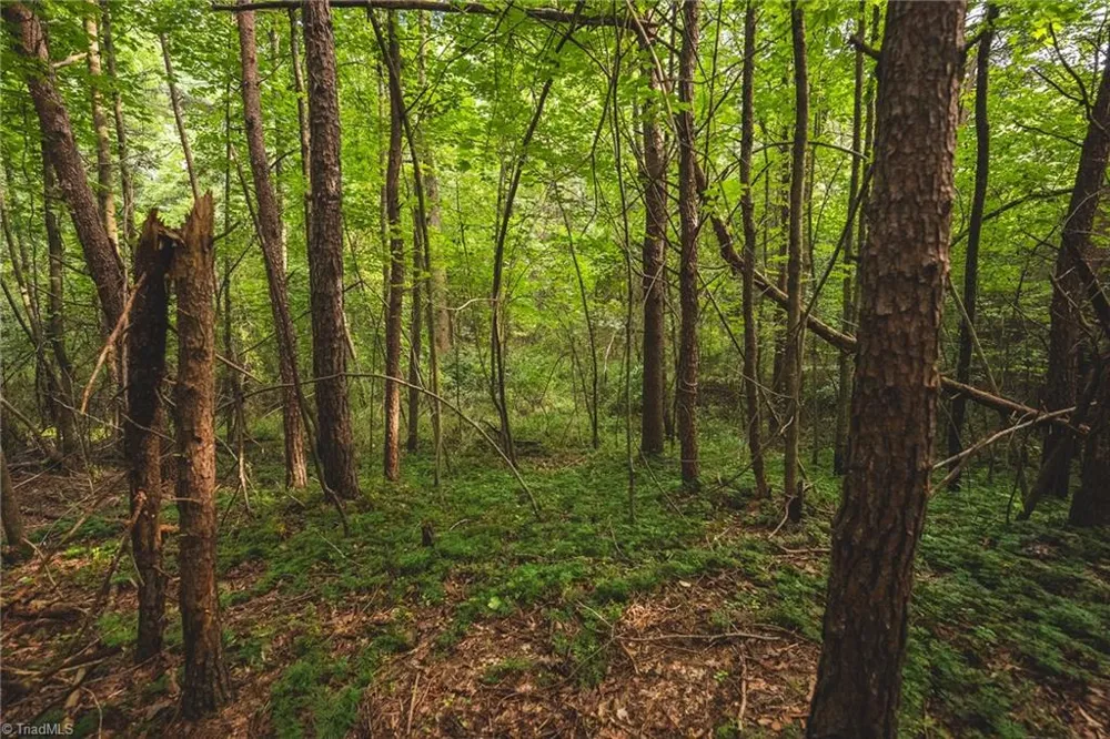 TBD Johnson Ridge Road Elkin, NC 28621