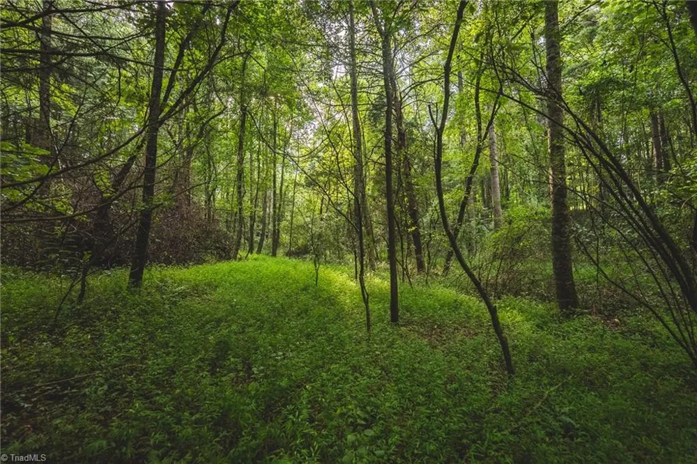 TBD Johnson Ridge Road Elkin, NC 28621