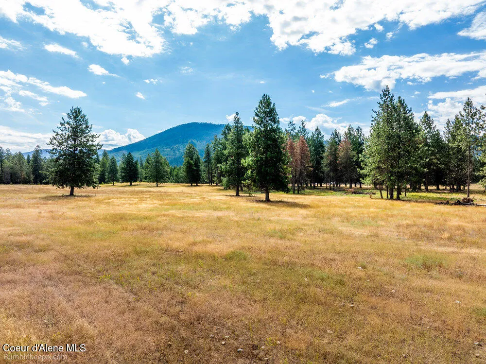 NKA Bunco Rd Lot 1 Athol, ID 83801