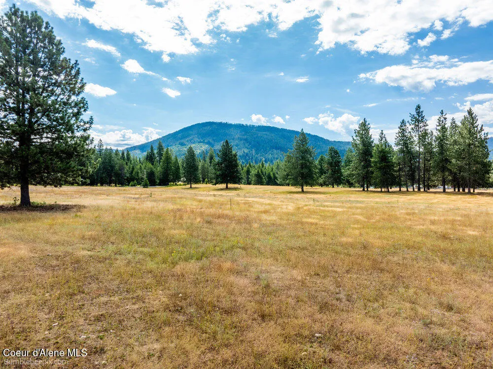 NKA Bunco Rd Lot 1 Athol, ID 83801