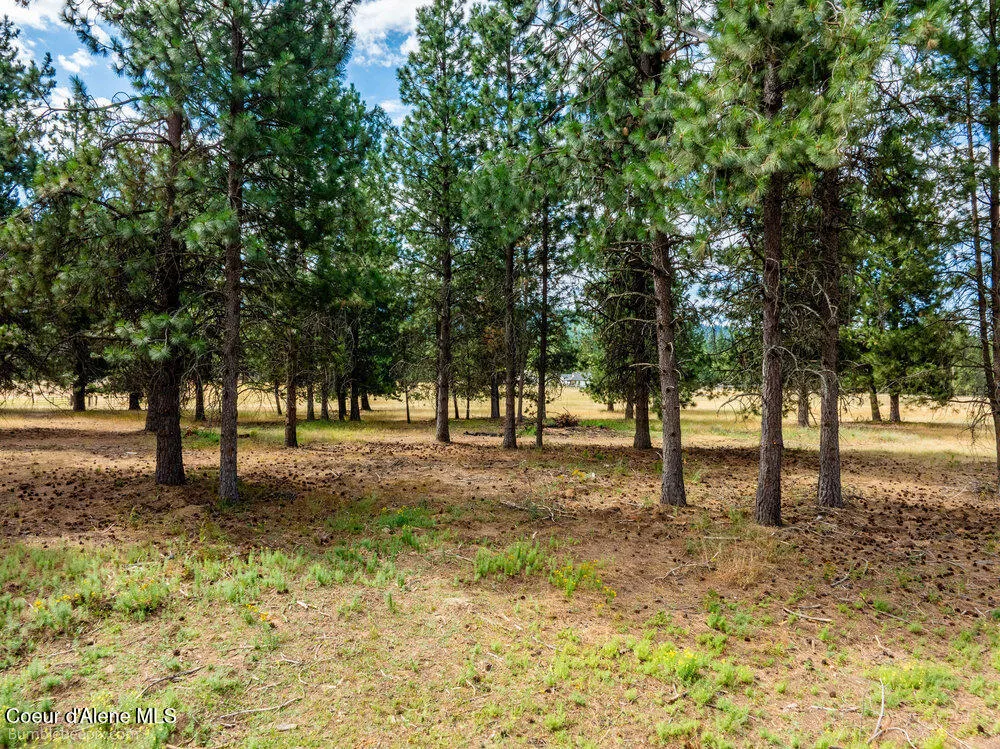 NKA Bunco Rd Lot 1 Athol, ID 83801