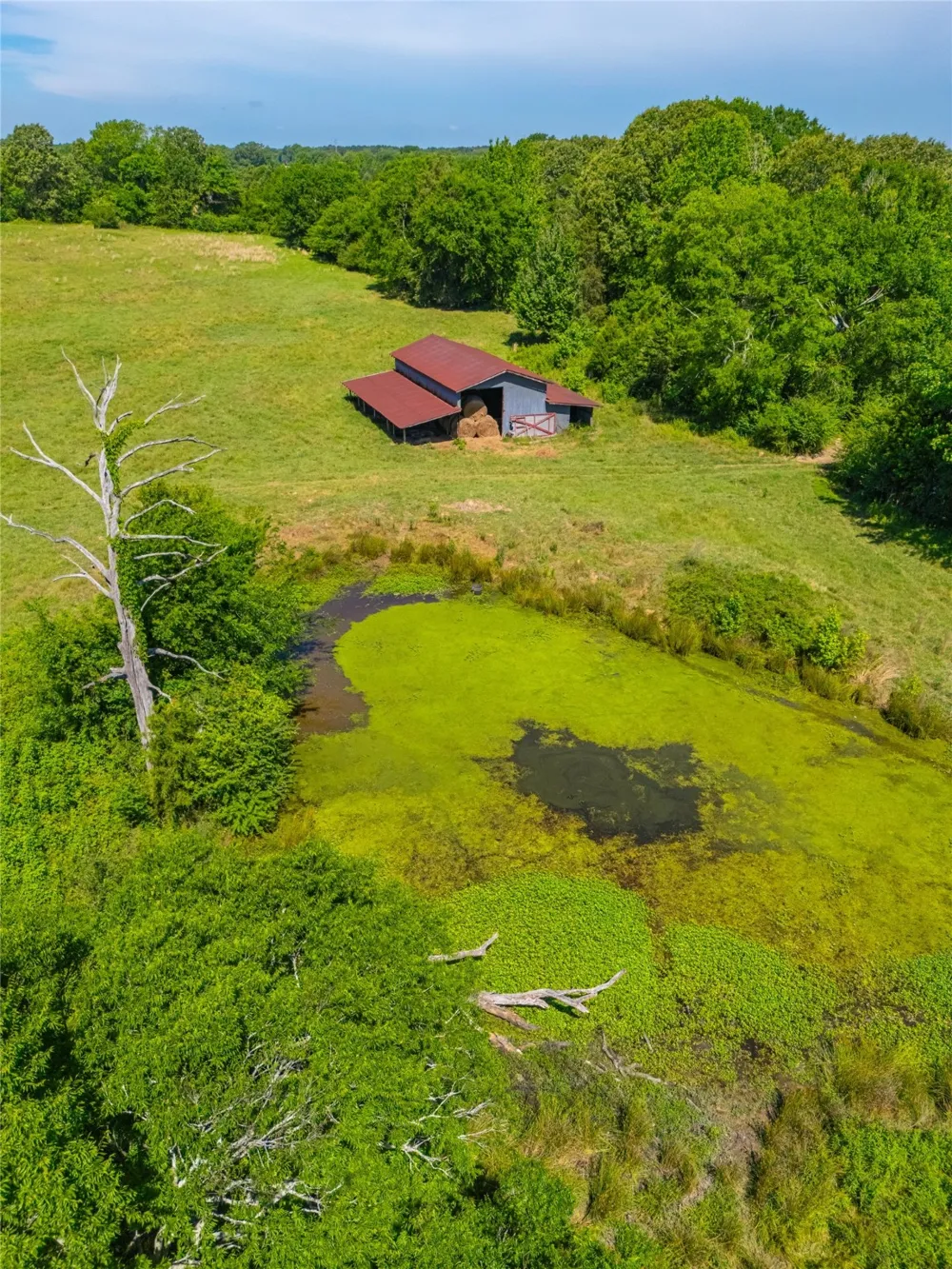County Road 2592 Marietta, TX 75568