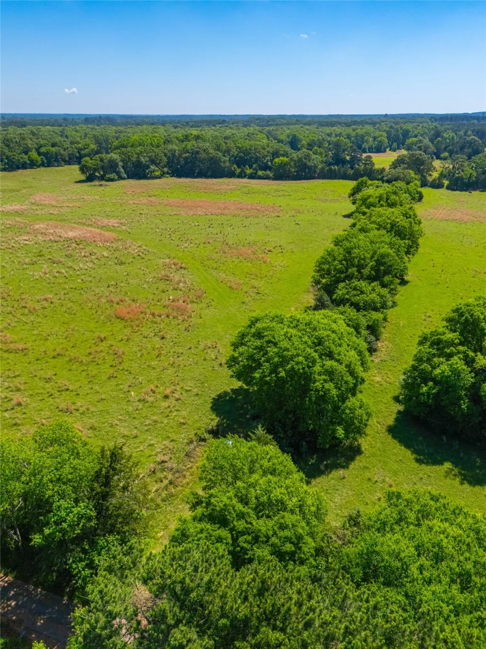 County Road 2592 Marietta, TX 75568