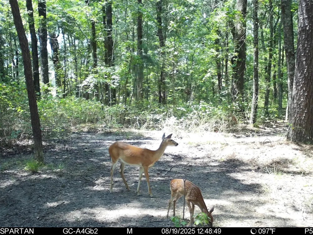 County Road 2592 Marietta, TX 75568