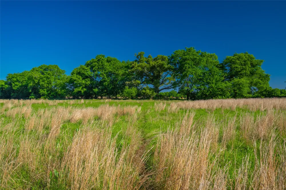 County Road 2592 Marietta, TX 75568