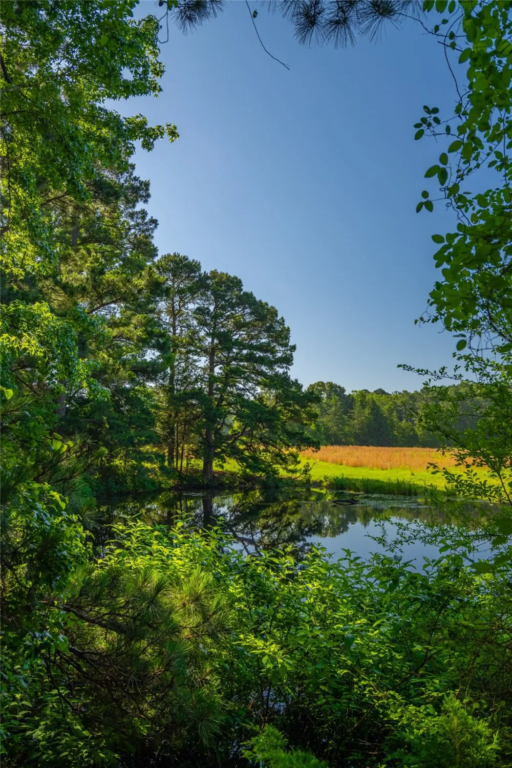County Road 2592 Marietta, TX 75568