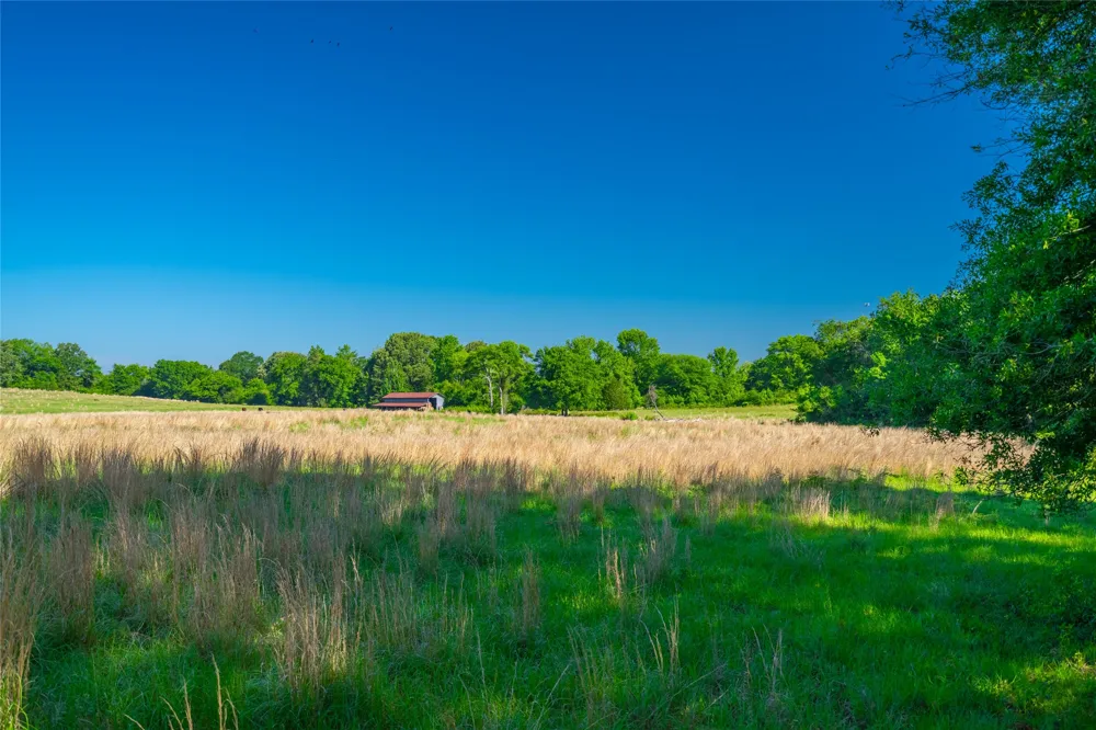 County Road 2592 Marietta, TX 75568
