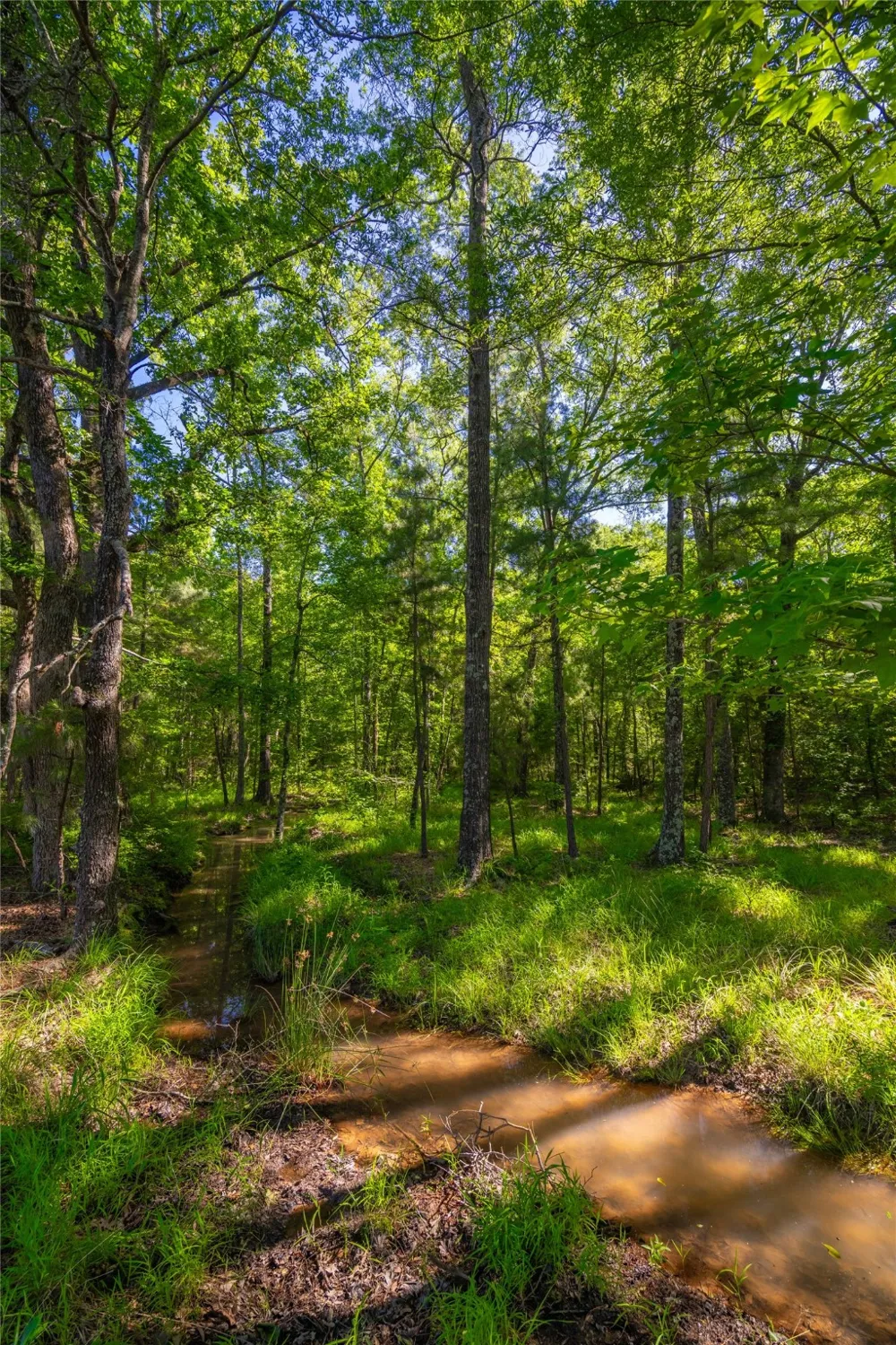 County Road 2592 Marietta, TX 75568