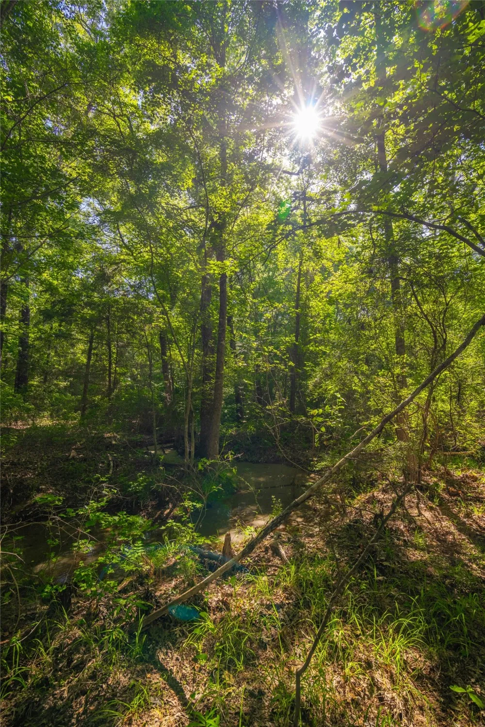 County Road 2592 Marietta, TX 75568