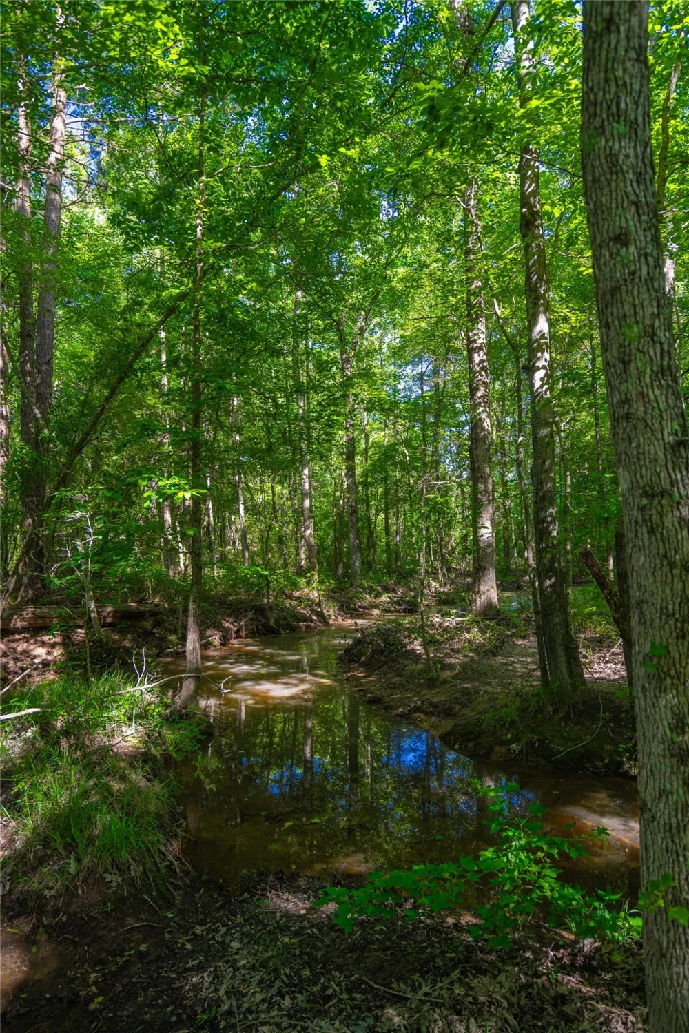 County Road 2592 Marietta, TX 75568