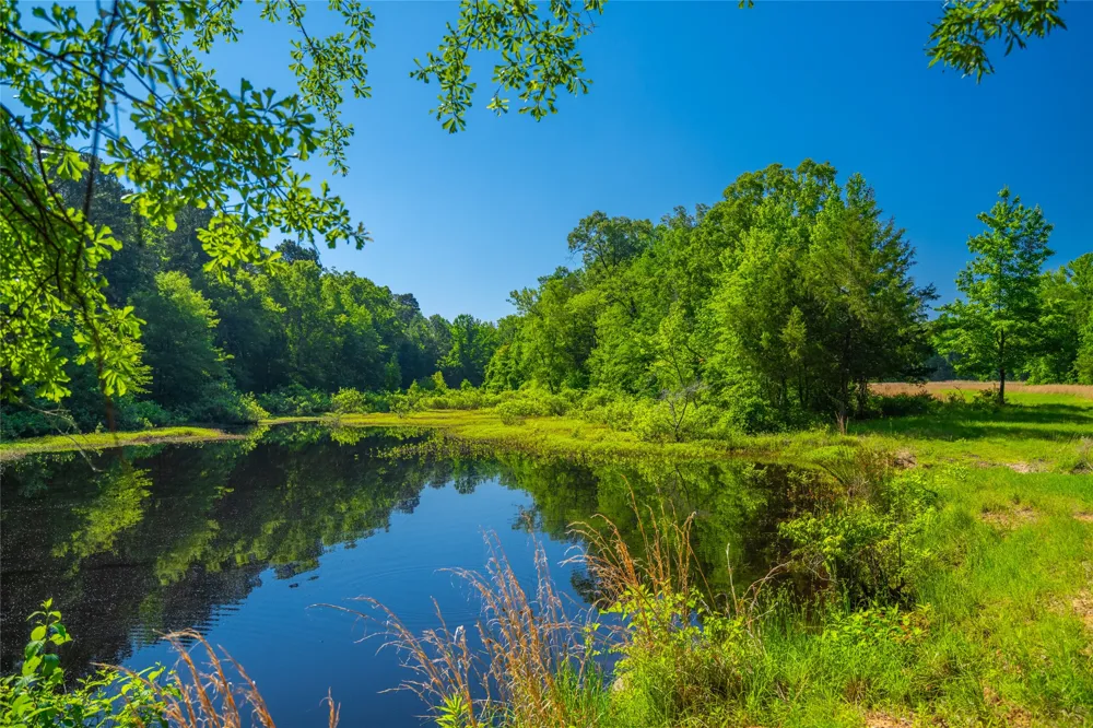 County Road 2592 Marietta, TX 75568