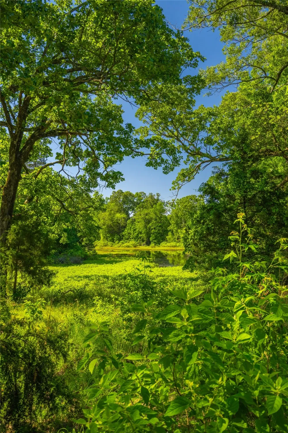 County Road 2592 Marietta, TX 75568
