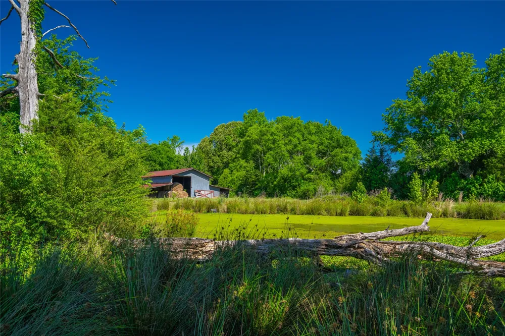 County Road 2592 Marietta, TX 75568