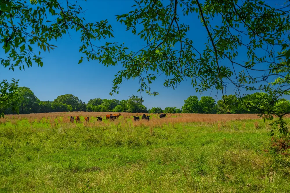 County Road 2592 Marietta, TX 75568