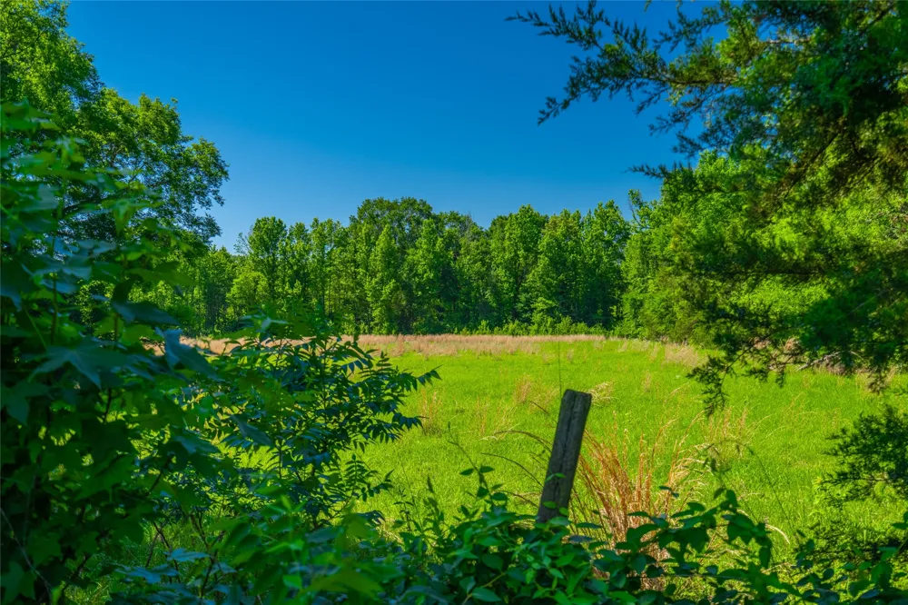 County Road 2592 Marietta, TX 75568