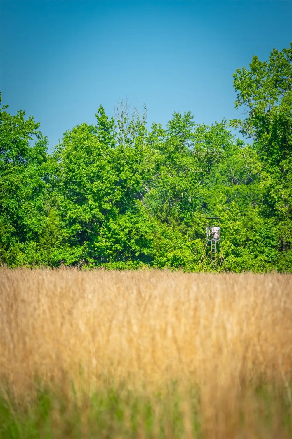 County Road 2592 Marietta, TX 75568