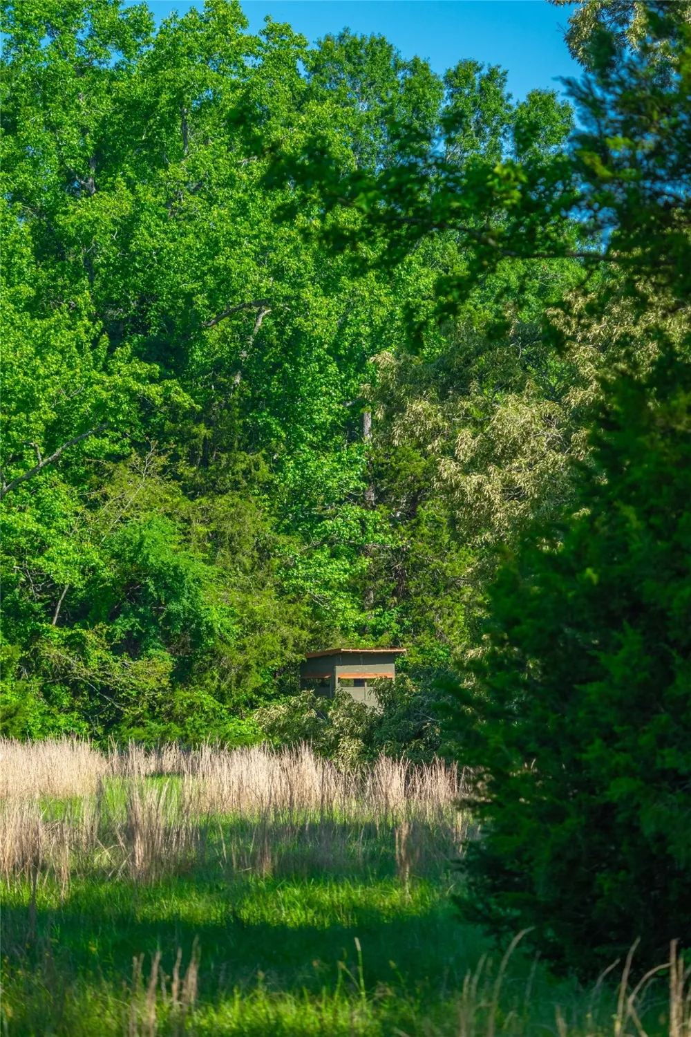 County Road 2592 Marietta, TX 75568